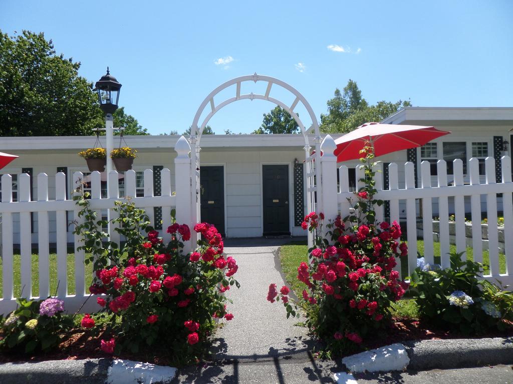 Claddagh & Motel Rockport